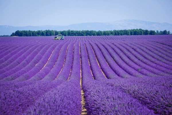 Фотошпалери з збережений міста