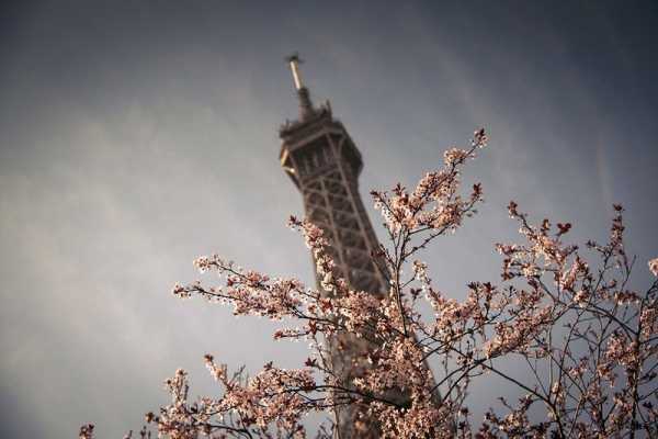 Фотошпалери з збережений міста